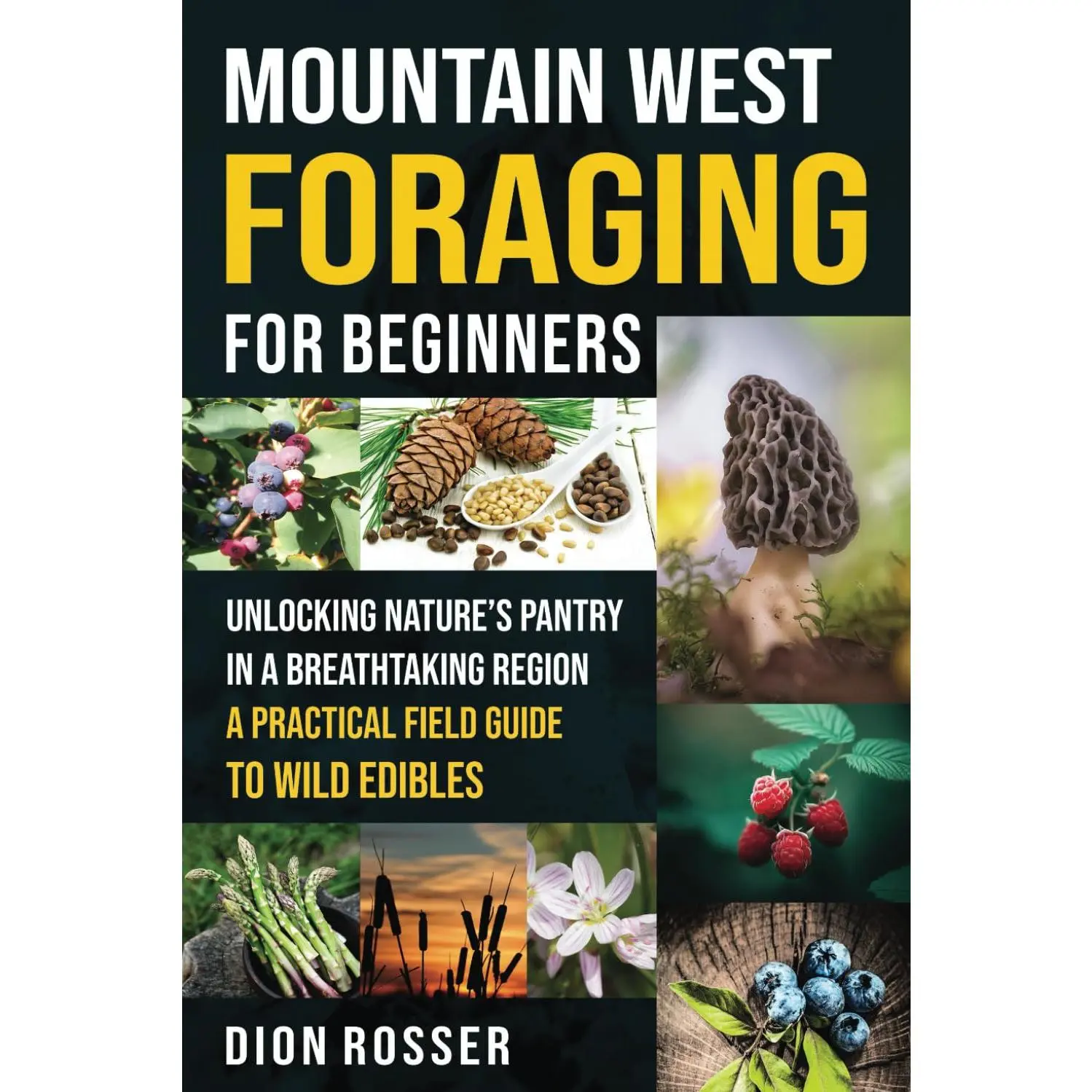 Mountain West Foraging for Beginners: Unlocking Nature’s Pantry in a Breathtaking Region – A Practical Field Guide to Wild Edibles