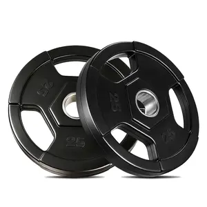 Rubber Grip Plates for Barbell, 2" Weight Plates Pair 10 LBS, Rubber Encased Iron, Low Noise & Floor Protection for Home Gym Strength Training & Weightlifting