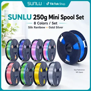 SUNLU 250g 3D Printer Filament Bundle | PLA Silk Rainbow 250g Filament Multicolor | Fast Color Change Each 8 Meters, Individually Vacuum Packed, 250g Spool, 8 Rolls, 2kg Total, 6 Silk Rainbow+Light Gold+Silver tiktokshopspringglowup