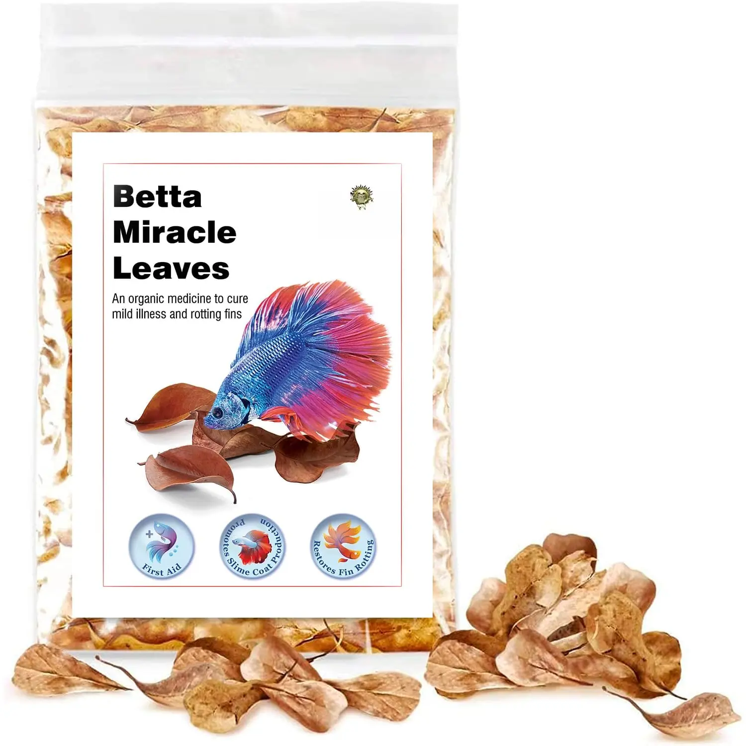 50 count Catappa Indian Almond Leaves for Betta Fish Tank Aquarium, 2" Water Conditioner Leaves, Leaf Also Suitable for Shrimp, Goldfish, Guppy and Frogs
