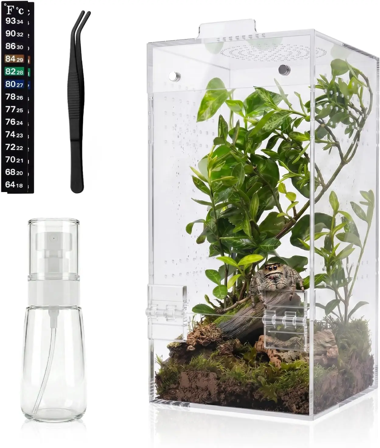 Plastic Rectangle Indoor Terrarium for Jumping Spiders, Mantises, Snails - Ready-to-Use, No Assembly, Ventilated Small Terrariums & Shipping Supplies, Ideal for Desk, Living Room & Bedroom