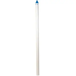 Brady BBP200-5 2 in. 5 ft. Blue Well Point