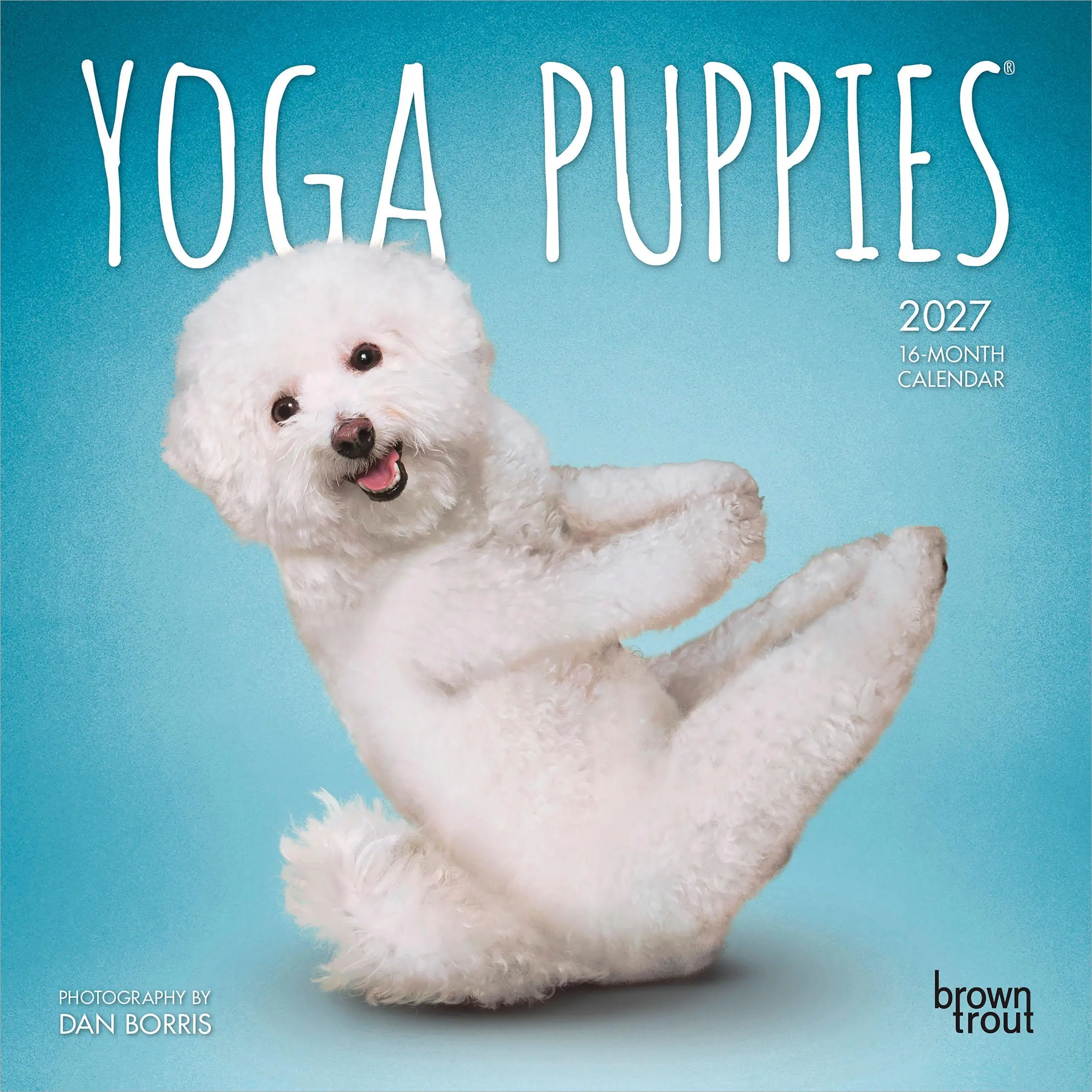 Yoga Puppies OFFICIAL | 2027 7 x 14 Inch (Hanging) Monthly Mini Wall Calendar | BrownTrout | Animals Humor Puppy Dogs Canine