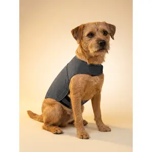 kept. The Hug Vest — Calming Compression Jacket (Dogs)