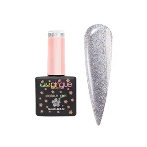 Holiday Colour Gel • 290 • Holo, It's Me