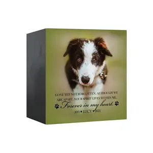 Pet Memorial Personalized Cremation Urn Shadow Box Memorial Gift for Dog Loss Cat Loss Sympathy Gift for Pet Lovers | Forever In My Heart
