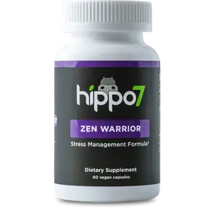 Zen Warrior