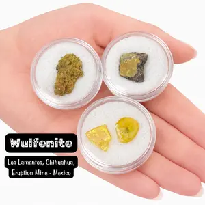 GEM JAR Wulfenite Specimens - 1-3pcs - Natural Wulfenite from Mexico