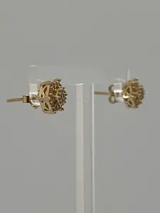 10K Earrings 1.6 g