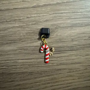 Candy Cane USB C Dust Plug Charms for Kindle and Book Lovers Gift