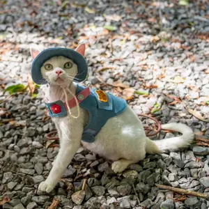 Outdoor dresses for Hairless Cat, Can Connect with Leash, Camping Cat, Cute Cat Clothing