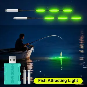 Super Bright Fishing Light Alarm, Sensory Fish Attraction Stick, Clear and Prominent Fishing Lamp, Efficient and Sensitive Fishing Gear