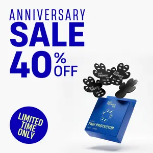 Dog Paw Pad Protectors - Dog Friendly Co.