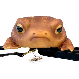 WINDY WILLOWS BROWN RAIN FROG BACKPACK