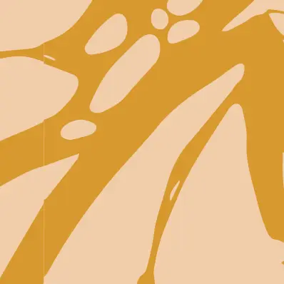 Monarch - Aerial Carrier