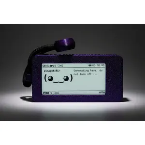 Pwnagotchi - Hacker Tool