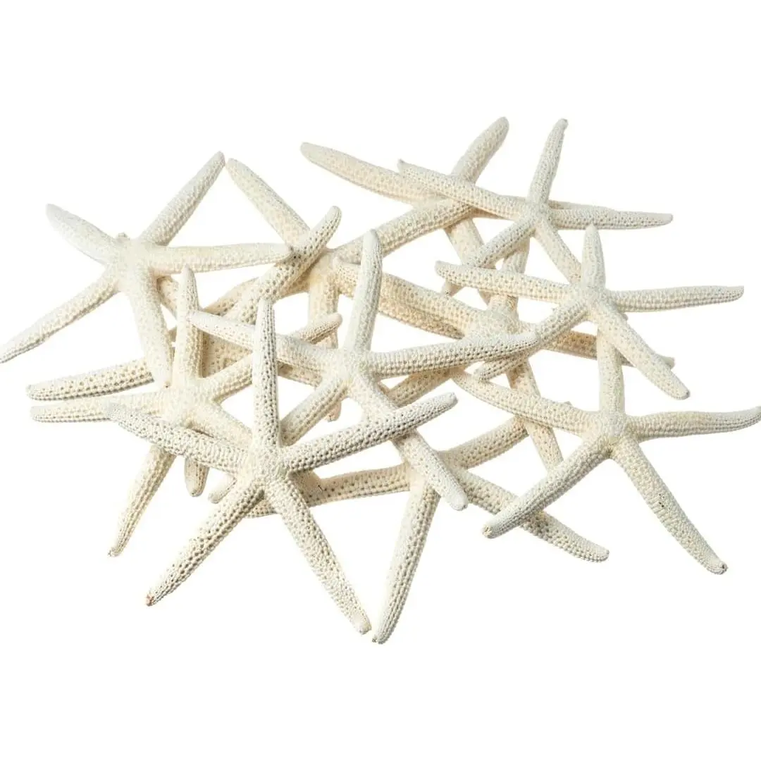 Starfish Decor - Star Fish for Craft - 15pk Uniquely Shaped 2-5" White Real Sea Stars - Beach Wedding Decor - Coastal Party Decorations - Seashell Decor - Shells for Crafts - Nautical Décor