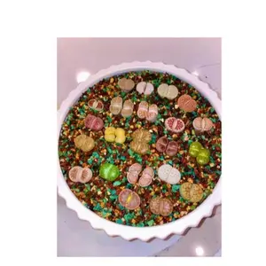 Pottery 12" Round Ceramic Planter White with Colorful Decorative Elements