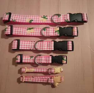 Sour as a Lemon Dog & Cat Collar