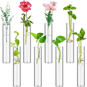 8 Tube Clear Glass Plant Propagation Stations Tiered Test Tube Planters Plant Hanger Hydroponic Cuttings Flower Vases Wall Decor for Home Office
