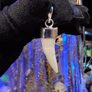 Colmillo protección