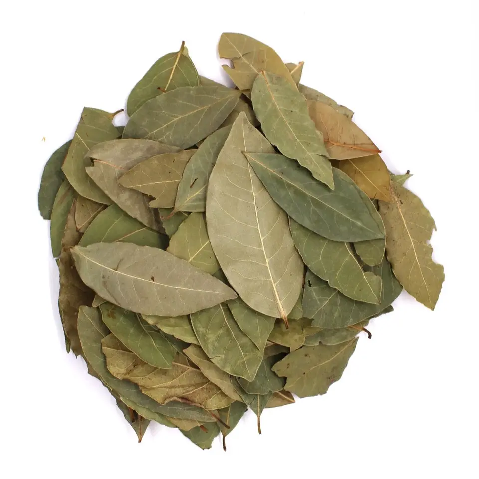 Bay Laurel
