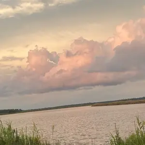 DeluxeFir Artificial Christmas Tree with Lithium Ion Battery for Outdoor & Indoor Decor