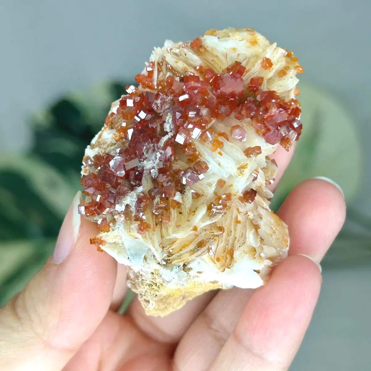 Vanadinite on Baryte Crystal Specimen