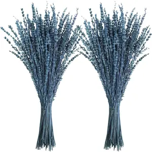 Dried Lavender Flowers, 16" Dried Lavender Bundles Dried Blue Flowers Preserved Lavender Stems Bouquet for Shower Weeding Home Fragrance Vase Crafts Decor, 100g(3.52oz) Aroma Scent Scented Perfume