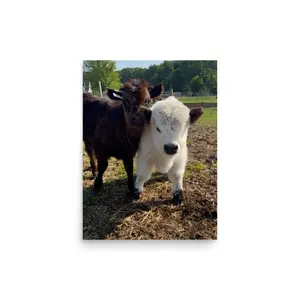 Best Buds (Q-tip & Leo) - Matte Poster 12x16