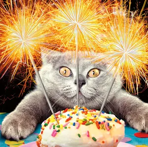 Avanti Greeting Card