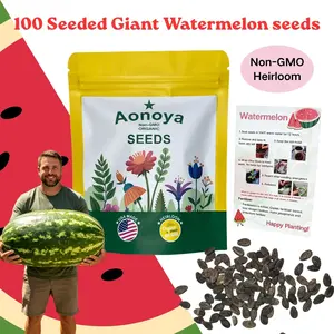 100 Giant Watermelon Seeds, Lazy Man's Watermelon, for Planting Heirloom and Non GMO , Seeded Watermelon, Nutritious, Can be Replanted Every Year, Easy to Grow