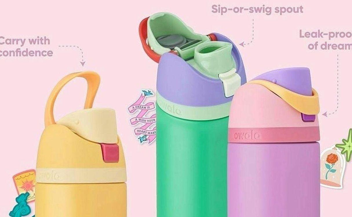 Owala Disney Princess FreeSip Insulated Stainless Steel Water Bottle with Straw for Sports and Travel, BPA-Free Sports Water Bottle, 24 oz, Belle | Disney Princess, Insulated, with Straw, BPA-Free, Sports Water Bottle