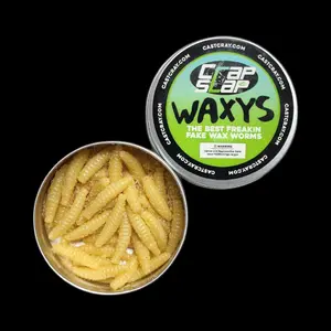 Crap Slap Waxys – Fake/Real Wax Worms Crap Slap Waxys – Fake/Real Wax Worms