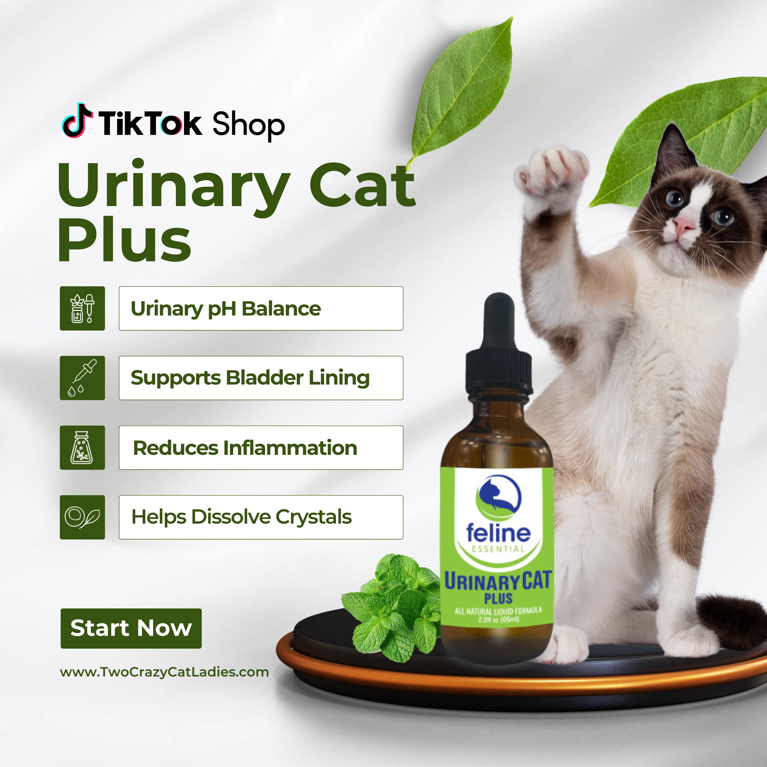 Feline Essential UrinaryCAT Plus Liquid | Daily Urinary Wellness Support