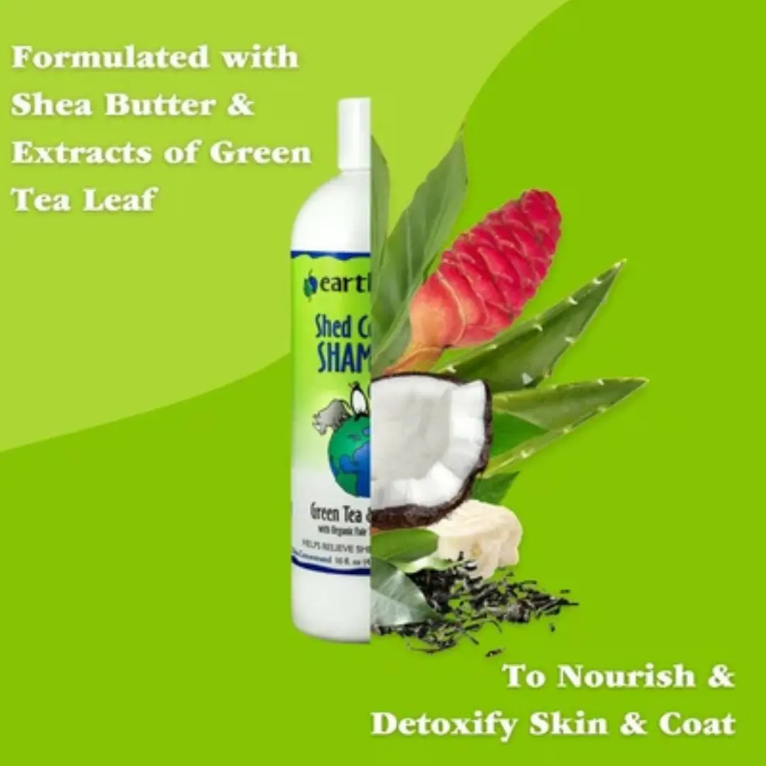 Earthbath Shed Control Green Tea & Awapuhi Shampoo for Dogs & Cats