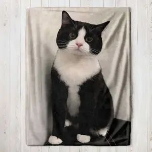 Black White Cat Pattern Soft Flannel Blanket Four Season Universal Comfortable Cover Sofa Bed Camping Trip Crazy Cat Lady Essential Warm Breathable Fleece Unique Birthday Present