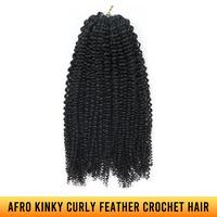 Afro Kinky Curly