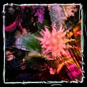 Camila Fuchs - Kids Talk Sun  [COMPACT DISC - CD]