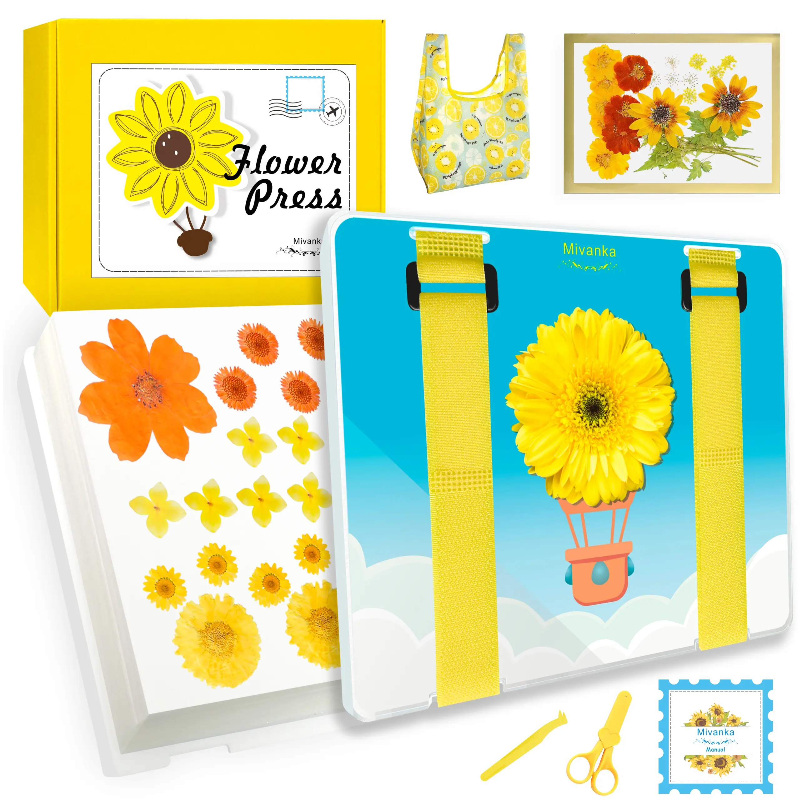 Mivanka Flower Preservation Kit, Acrylic Creativity Pressed Flower Art Kit with Handbag, Large Size DIY Craft with Safe Accessory Easy for Save Flowers, Leaves, Plants - Energy Balloon Pattern, Packed of giftable box