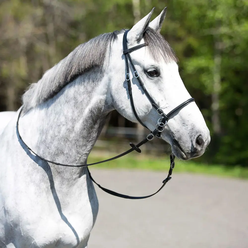 10081 Horze Leather Bitless Bridle - Black