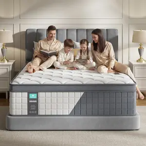 [Heysleep]12/14 Inch Twin, Full, Queen, King Mattress Memory Foam And Spring, Hybrid MattressMedium Firmness, Lumbar Support, For Home Rooms Hotels, Boxed Gift Furniture Ergonomic Modern
