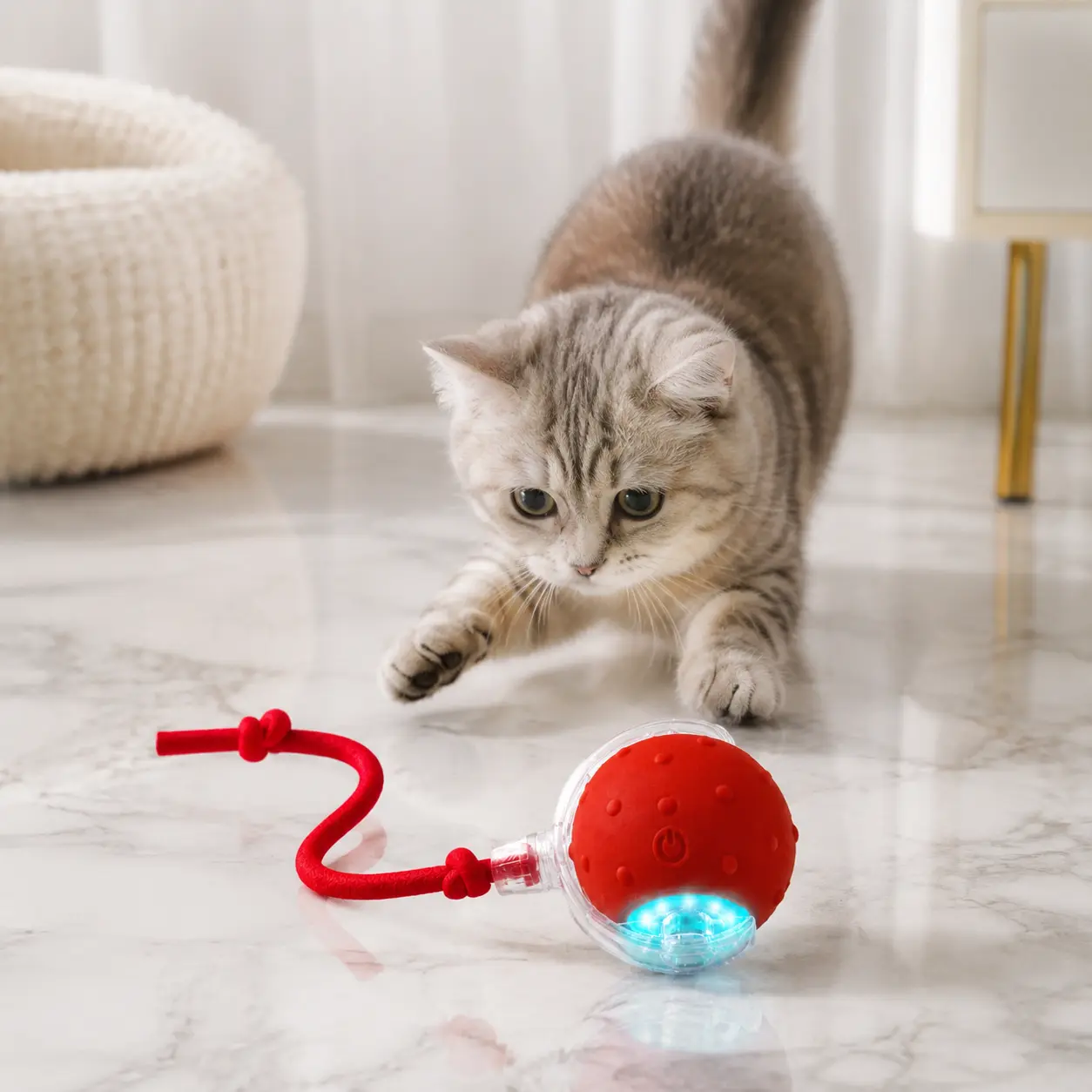 【My Pet Dog Loves it】Deplete Pet Energy! Automatic Rolling Pet Ball Toy with Replaceable Tail Attachments, Self-Moving Teaser Toy for Kittens, Adult Cats & Small Dogs, Indoor Play Entertainment