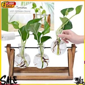 Plant Propagation Station, Plant Terrarium with Wooden Stand, Unique Gardening Birthday Gifts - 3 Bulb Glass Vases
