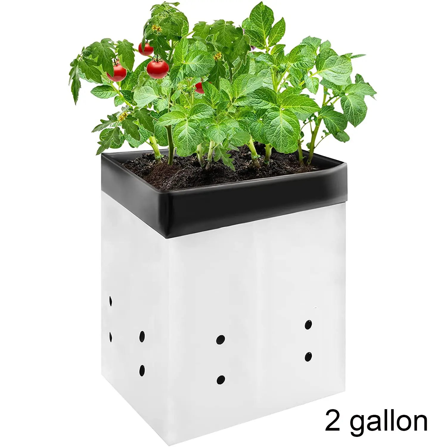 HK Gardening 2 gallon Plastic Grow Bags /50pcs White outside & Black inside  -Poly Plant Pots Soil Root Containers PE Grow Bag - TikTok Shop
