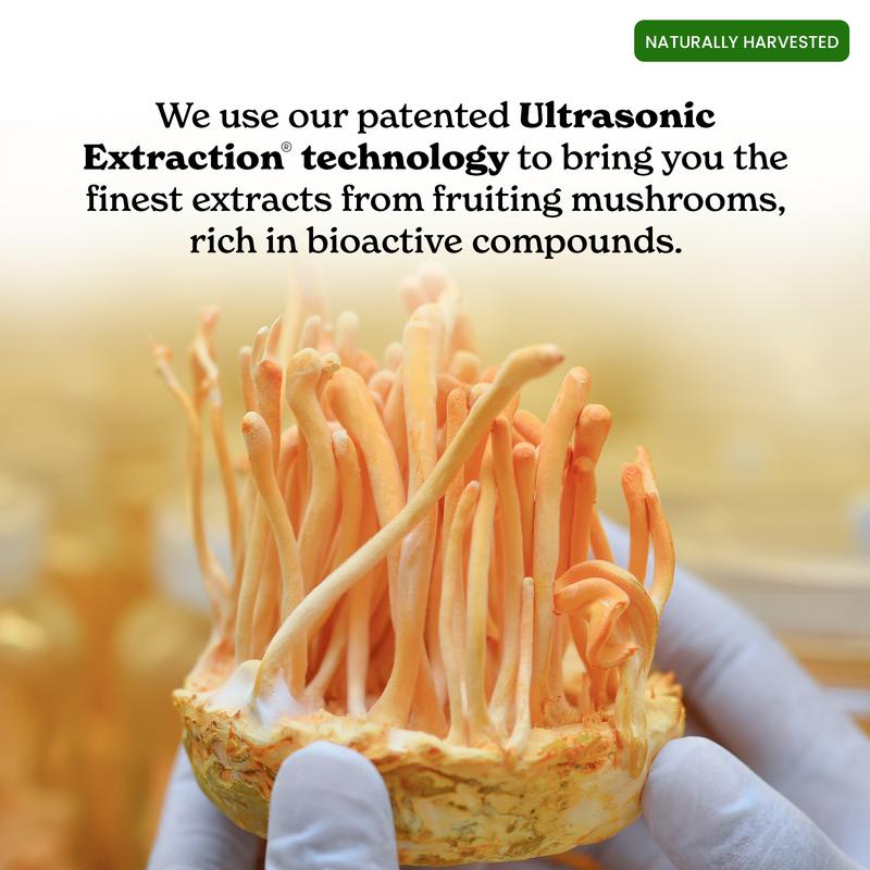 BetterAlt GOLD+ Shilajit Honey Sticks + GOLD+ Shilajit Liquid Drops | Helps Increase Energy, Stamina, Focus | 1-Month Pack