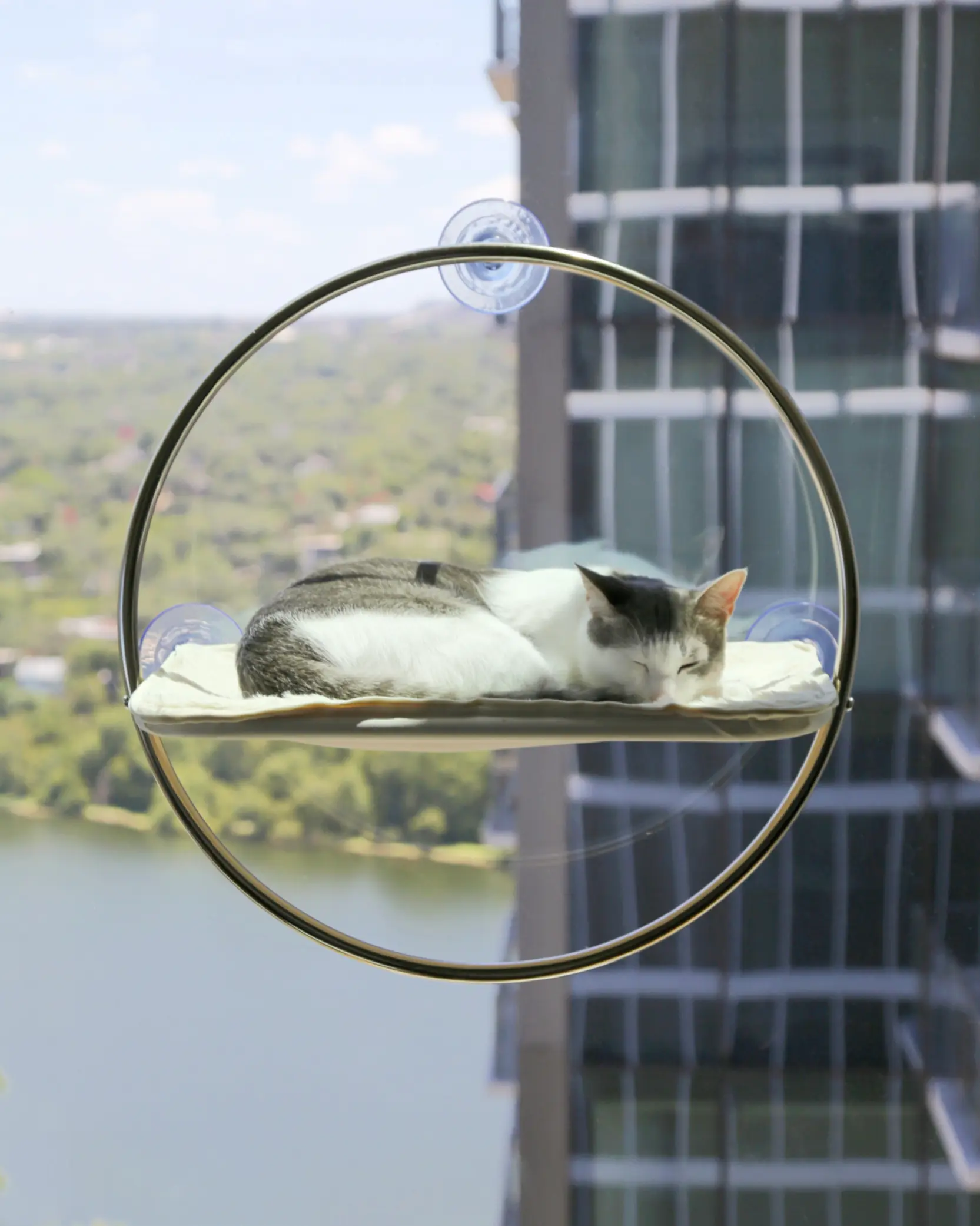 Orbit Cat Hammock - Window Perch