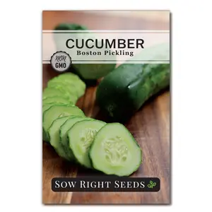 Boston Pickling Cucumber Seeds