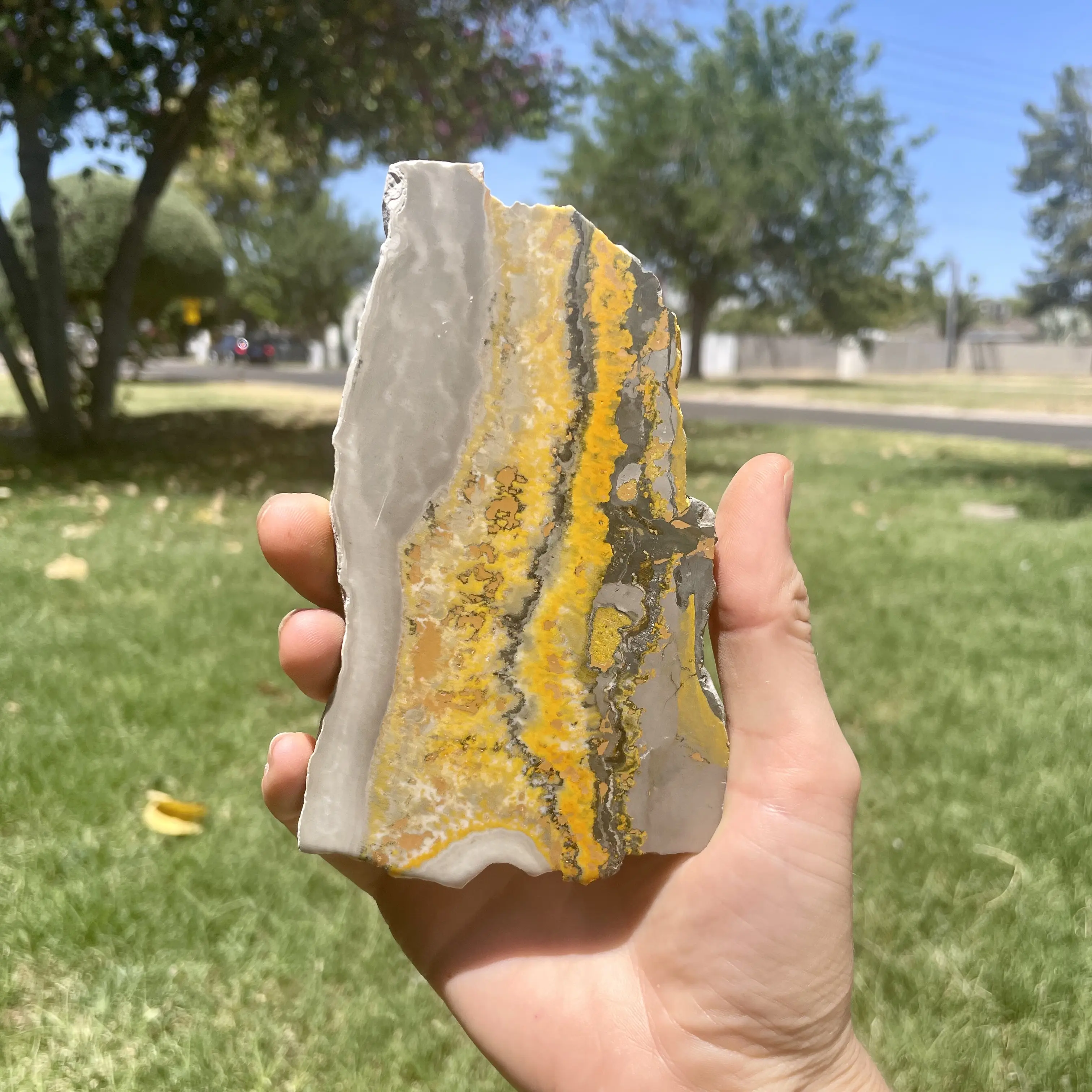Bumblebee Jasper Slab