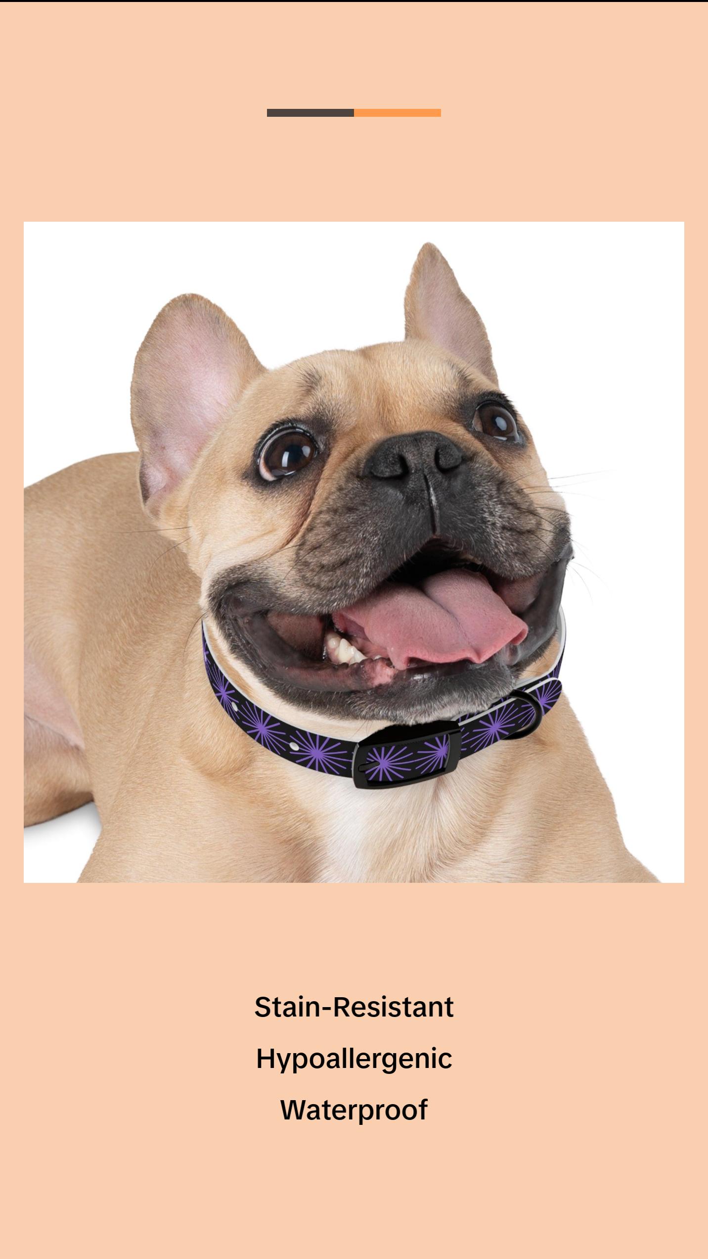 Black and purple star dog collar